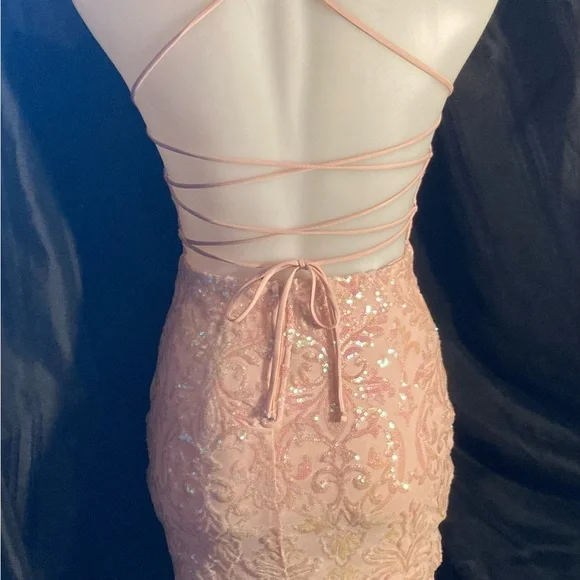 Windsor Blush Sequin Embellished Dress - Picture 3 of 8